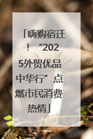 嗨购宿迁！“2025外贸优品中华行”点燃市民消费热情