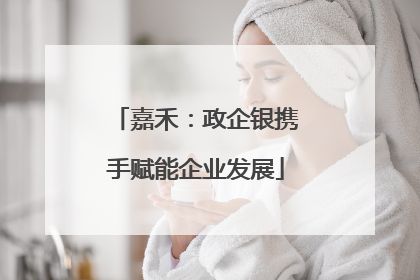 嘉禾：政企银携手赋能企业发展