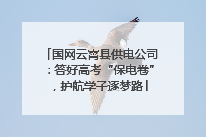 国网云霄县供电公司：答好高考“保电卷”，护航学子逐梦路