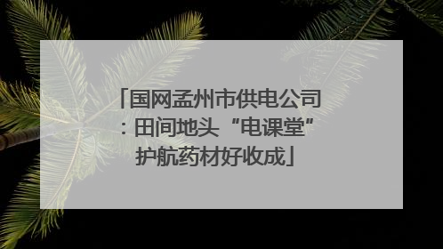 国网孟州市供电公司：田间地头“电课堂”  护航药材好收成