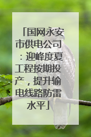 国网永安市供电公司：迎峰度夏工程按期投产，提升输电线路防雷水平