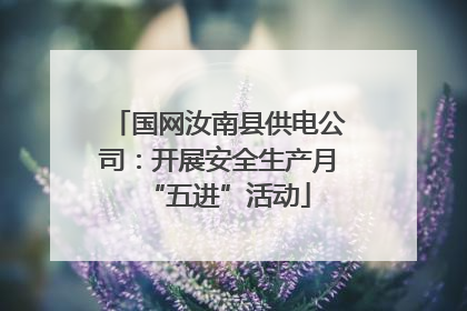 国网汝南县供电公司：开展安全生产月“五进”活动