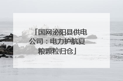 国网泌阳县供电公司：电力护航夏粮颗粒归仓