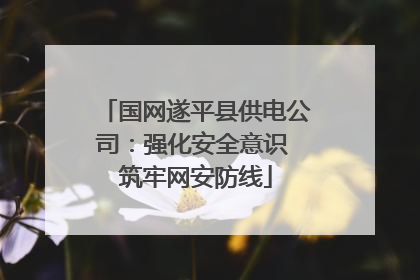 国网遂平县供电公司：强化安全意识 筑牢网安防线