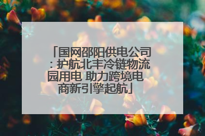 国网邵阳供电公司：护航北丰冷链物流园用电 助力跨境电商新引擎起航