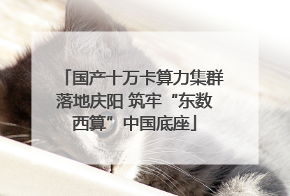 国产十万卡算力集群落地庆阳 筑牢“东数西算”中国底座