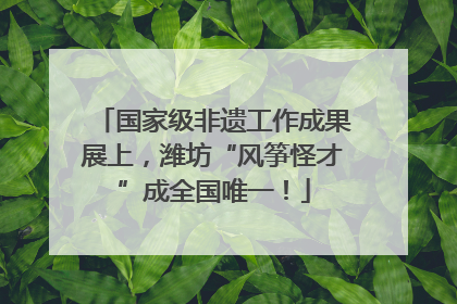 国家级非遗工作成果展上，潍坊“风筝怪才”成全国唯一！