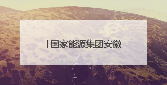 国家能源集团安徽合肥电厂团委：以青春之力践行社会责任与创新担当