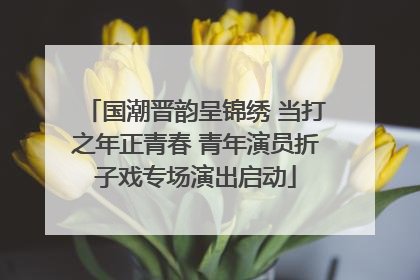 国潮晋韵呈锦绣 当打之年正青春 青年演员折子戏专场演出启动