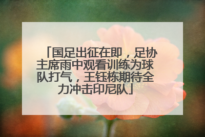 国足出征在即，足协主席雨中观看训练为球队打气，王钰栋期待全力冲击印尼队