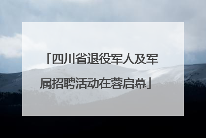 四川省退役军人及军属招聘活动在蓉启幕