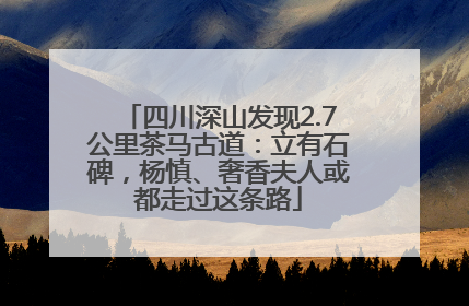 四川深山发现2.7公里茶马古道：立有石碑，杨慎、奢香夫人或都走过这条路