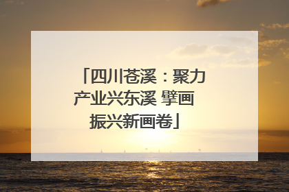 四川苍溪：聚力产业兴东溪 擘画振兴新画卷