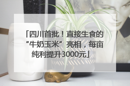 四川首批！直接生食的“牛奶玉米”亮相，每亩纯利提升3000元