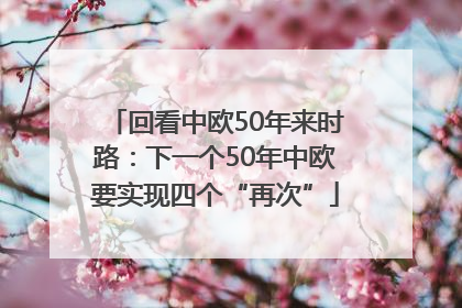 回看中欧50年来时路：下一个50年中欧要实现四个“再次”