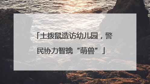 土拨鼠造访幼儿园，警民协力智擒“萌兽”