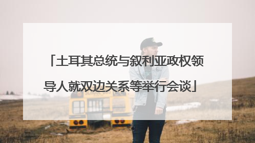 土耳其总统与叙利亚政权领导人就双边关系等举行会谈