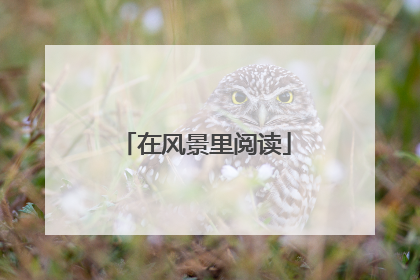 在风景里阅读