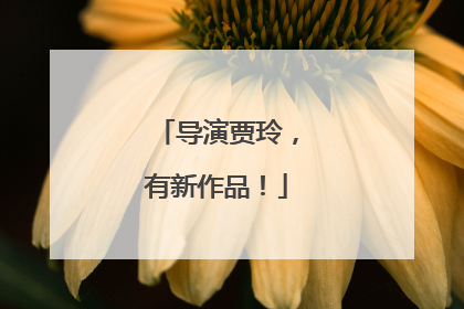 导演贾玲，有新作品！