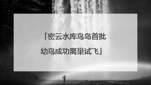 密云水库鸟岛首批幼鸟成功离巢试飞