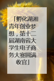 孵化湖湘青年创业梦想，第十二届湖南省大学生电子商务大赛圆满收官