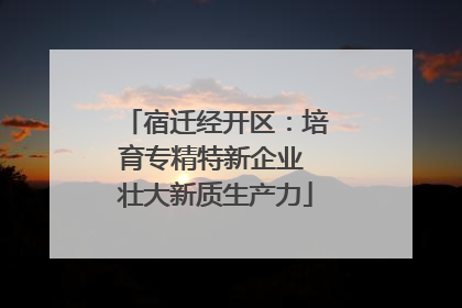 宿迁经开区：培育专精特新企业 壮大新质生产力
