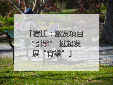 宿迁：激发项目“引擎” 挺起发展“脊梁”