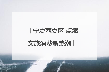 宁夏西夏区 点燃文旅消费新热潮