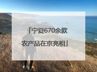 宁夏670余款农产品在京亮相