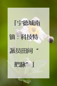 宁德城南镇：科技特派员田间“把脉”