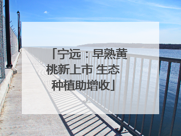 宁远：早熟黄桃新上市 生态种植助增收