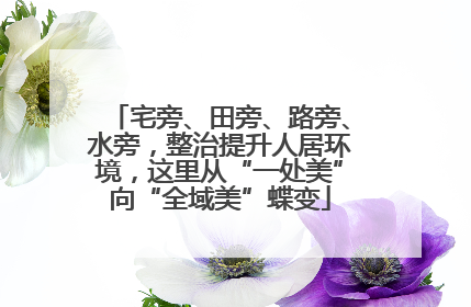 宅旁、田旁、路旁、水旁，整治提升人居环境，这里从“一处美”向“全域美”蝶变