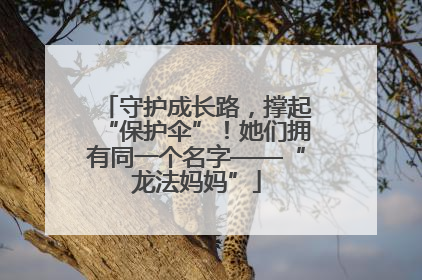 守护成长路，撑起“保护伞”！她们拥有同一个名字——“龙法妈妈”