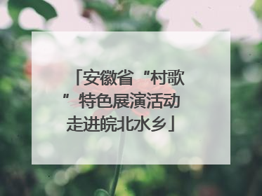 安徽省“村歌”特色展演活动走进皖北水乡