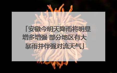 安徽今明天降雨将明显增多增强 部分地区有大暴雨并伴强对流天气
