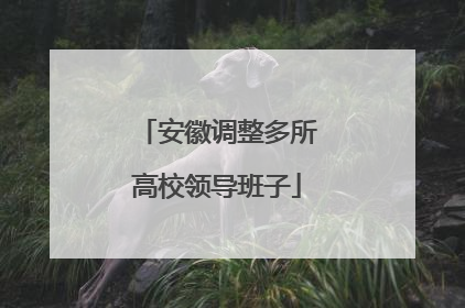 安徽调整多所高校领导班子