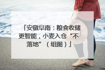 安徽阜南：粮食收储更智能，小麦入仓“不落地”（组图）