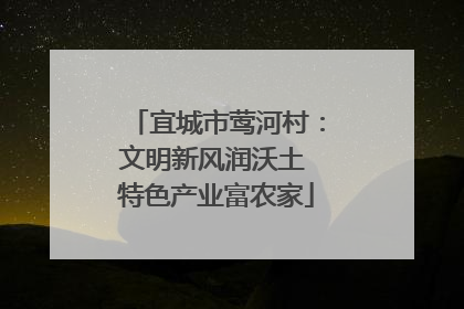 宜城市莺河村：文明新风润沃土 特色产业富农家