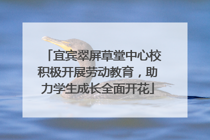 宜宾翠屏草堂中心校积极开展劳动教育，助力学生成长全面开花