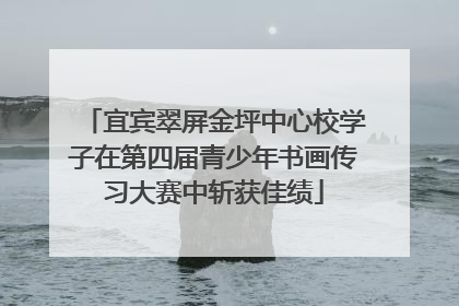 宜宾翠屏金坪中心校学子在第四届青少年书画传习大赛中斩获佳绩