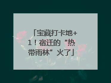 宝藏打卡地+1！宿迁的“热带雨林”火了