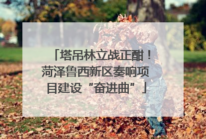 塔吊林立战正酣！菏泽鲁西新区奏响项目建设“奋进曲”