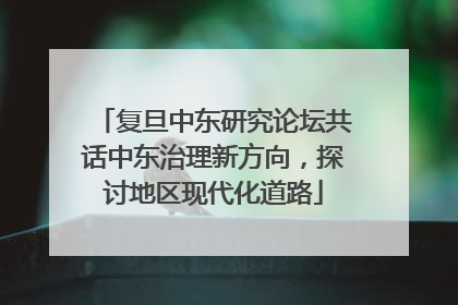复旦中东研究论坛共话中东治理新方向，探讨地区现代化道路