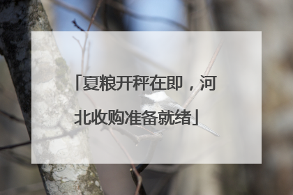 夏粮开秤在即，河北收购准备就绪