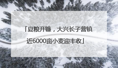 夏粮开镰，大兴长子营镇近6000亩小麦迎丰收