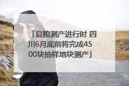 夏粮测产进行时 四川6月底前将完成4500块抽样地块测产