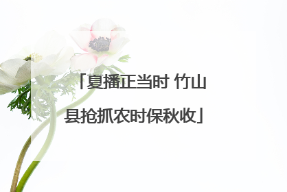 夏播正当时 竹山县抢抓农时保秋收