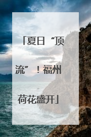 夏日“顶流”！福州荷花盛开