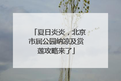 夏日炎炎，北京市属公园纳凉及赏莲攻略来了