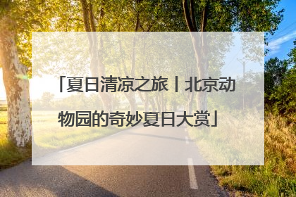 夏日清凉之旅丨北京动物园的奇妙夏日大赏